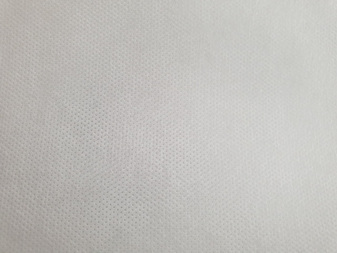 Vải không dệt màu trắng SS 50gsm - Non woven white color SS 50gsm