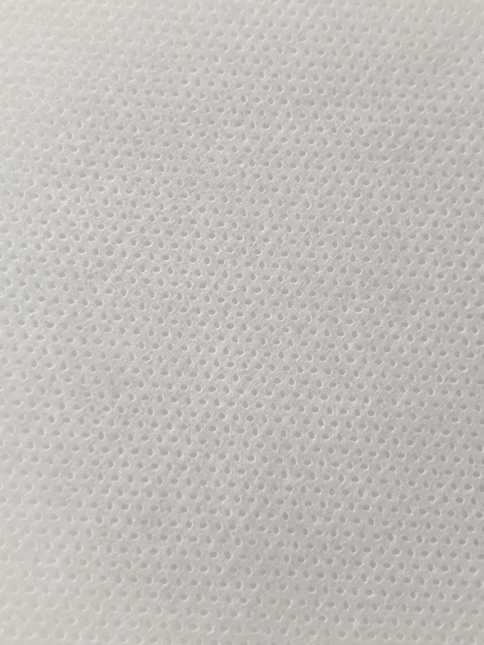Vải không dệt màu trắng SS 50gsm - Non woven white color SS 50gsm