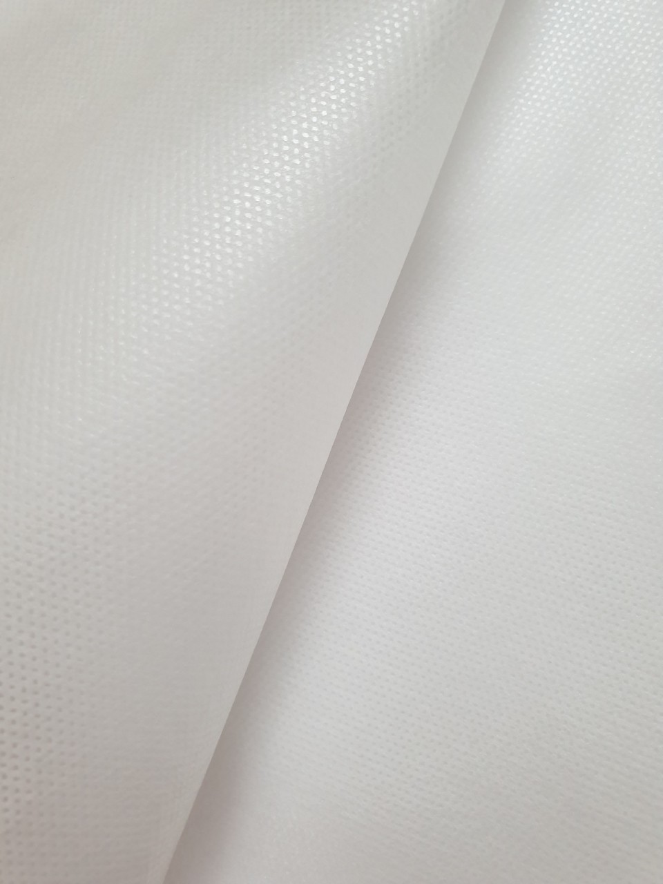vải không dệt cán màng màu trắng -  Non woven PP coating PE